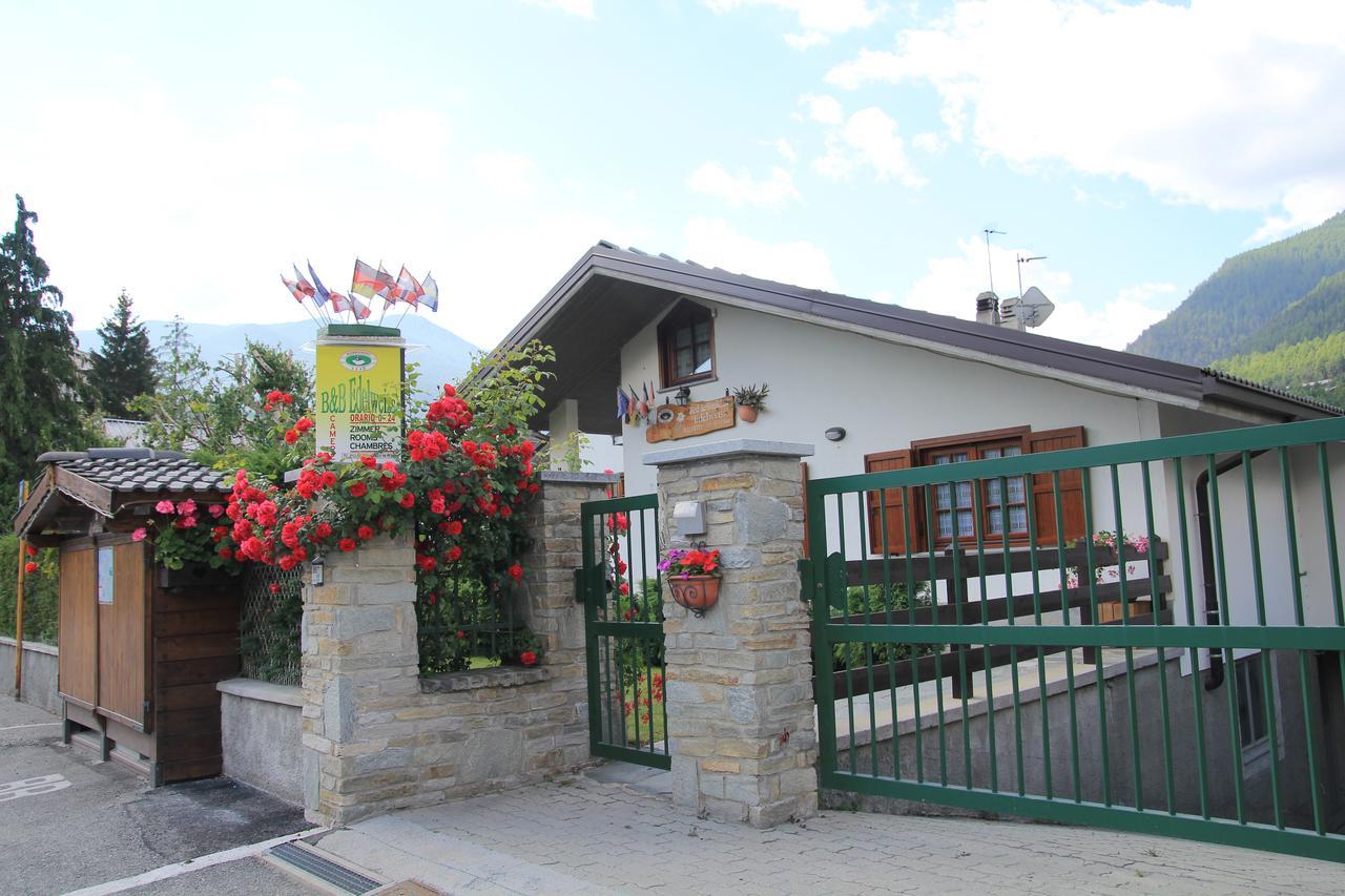 B&B Edelweiss Oulx Bagian luar foto